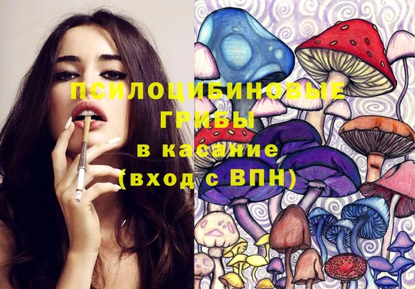 прущие крисы Зерноград