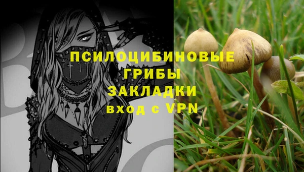 герыч Зеленодольск