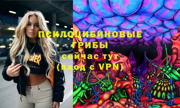 герыч Зеленодольск