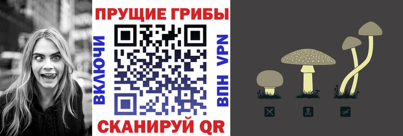 Псилоцибиновые грибы мицелий  Купить где  Ивангород 